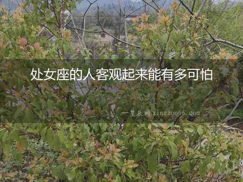 處女座的人客觀起來能有多可怕