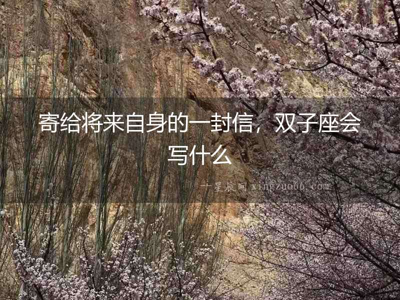 寄給將來自身的一封信，雙子座會寫什么