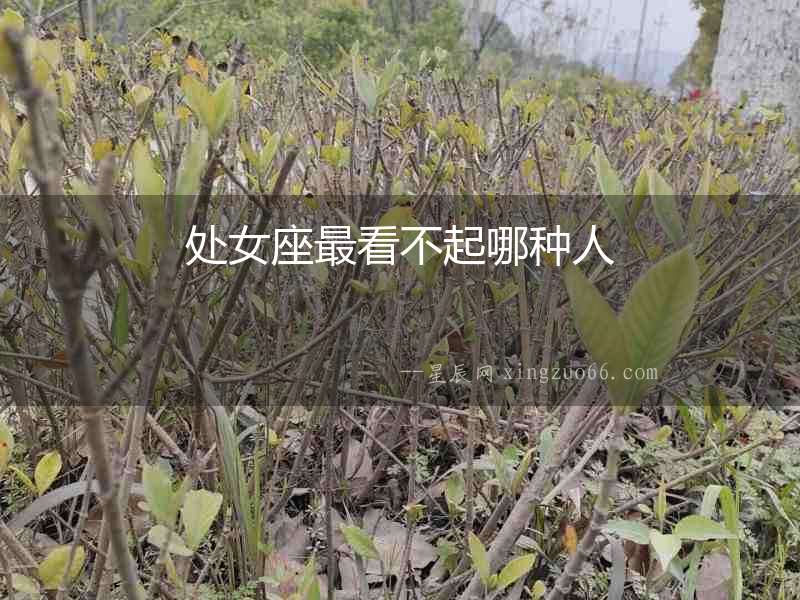 處女座最看不起哪種人
