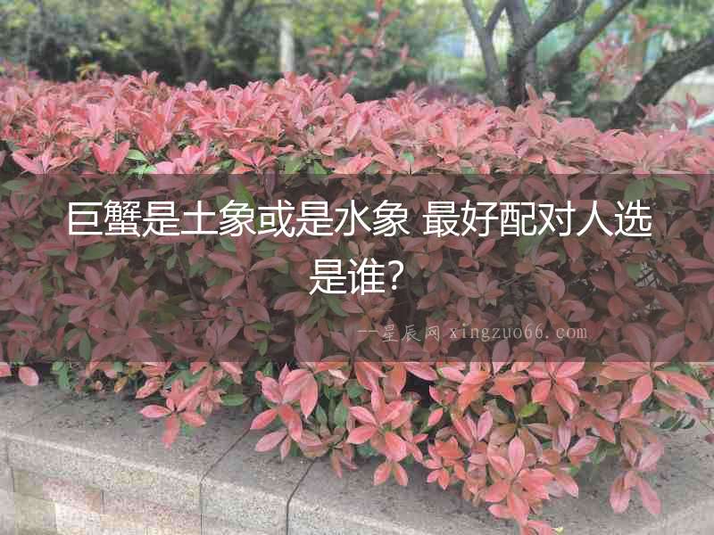 巨蟹是土象或是水象 最好配對人選是誰？
