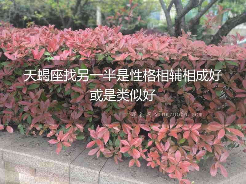 天蝎座找另一半是性格相輔相成好或是類似好