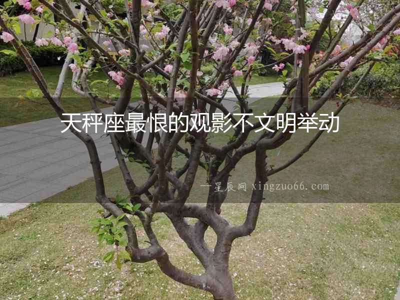 天秤座最恨的觀影不文明舉動