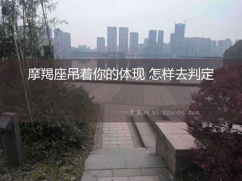 摩羯座吊著你的體現 怎樣去判定