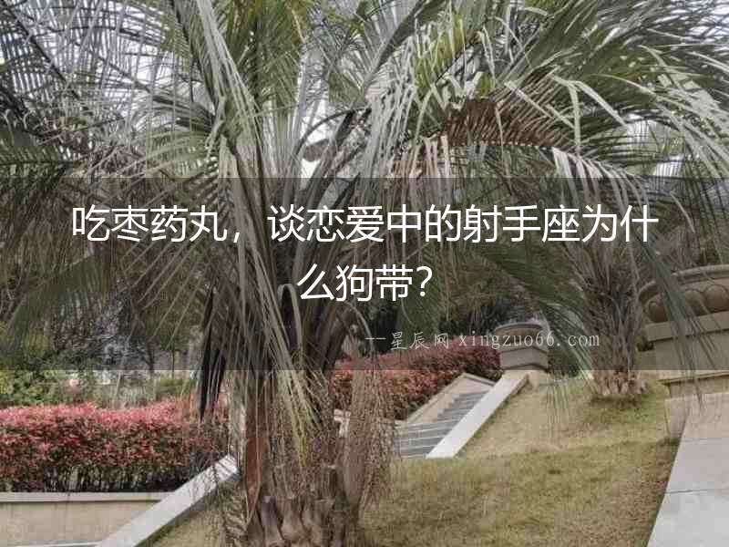 吃棗藥丸，談戀愛中的射手座為什么狗帶？