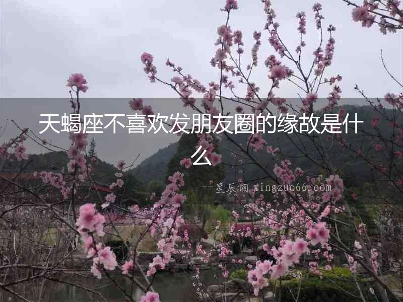 天蝎座不喜歡發(fā)朋友圈的緣故是什么