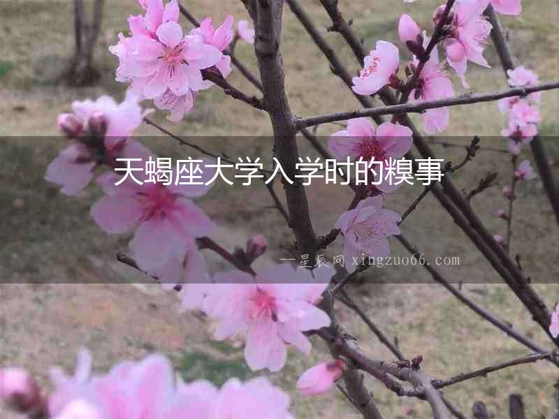 天蝎座大學入學時的糗事