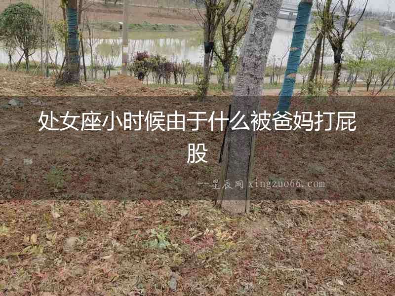 處女座小時候由于什么被爸媽打屁股