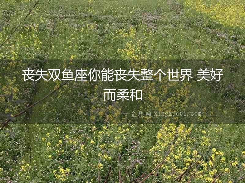 喪失雙魚座你能喪失整個世界 美好而柔和
