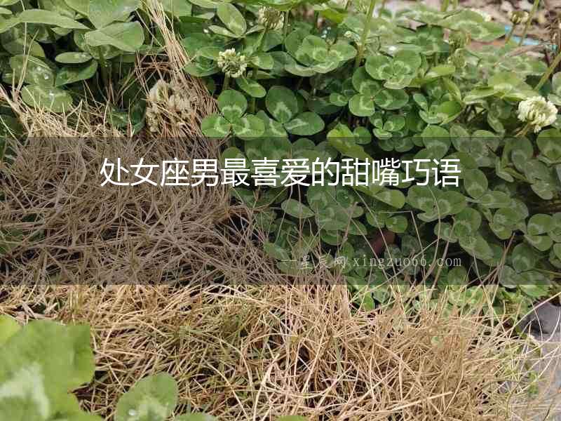 處女座男最喜愛(ài)的甜嘴巧語(yǔ)