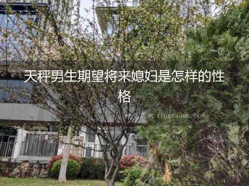 天秤男生期望將來媳婦是怎樣的性格