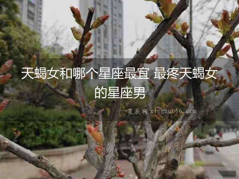天蝎女和哪個星座最宜 最疼天蝎女的星座男