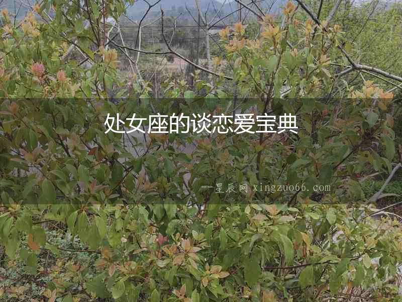 處女座的談戀愛寶典
