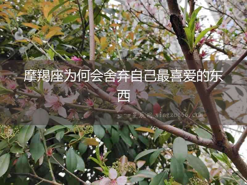 摩羯座為何會舍棄自己最喜愛的東西