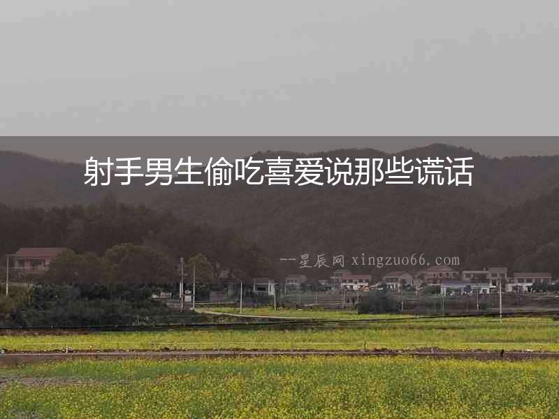 射手男生偷吃喜愛說那些謊話