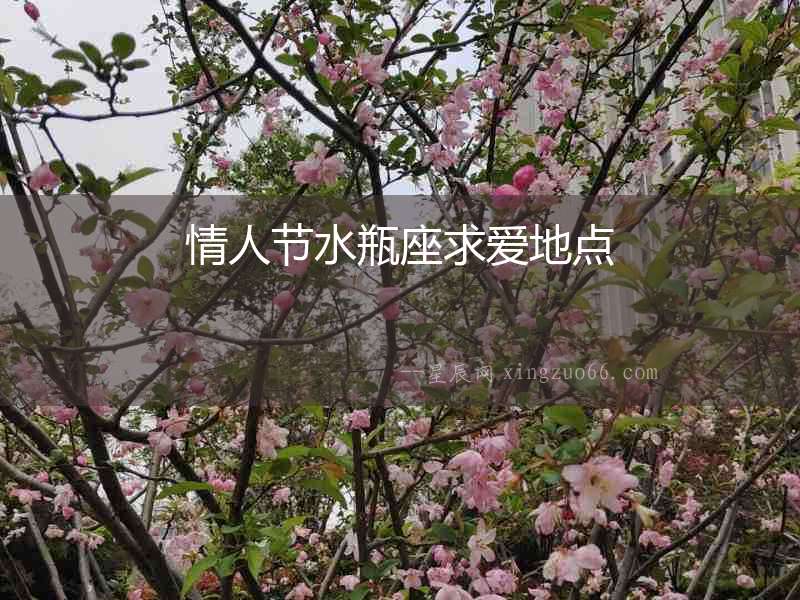 情人節(jié)水瓶座求愛地點(diǎn)