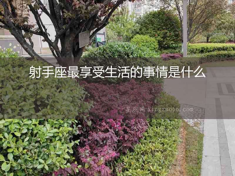 射手座最享受生活的事情是什么