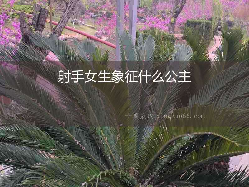 射手女生象征什么公主