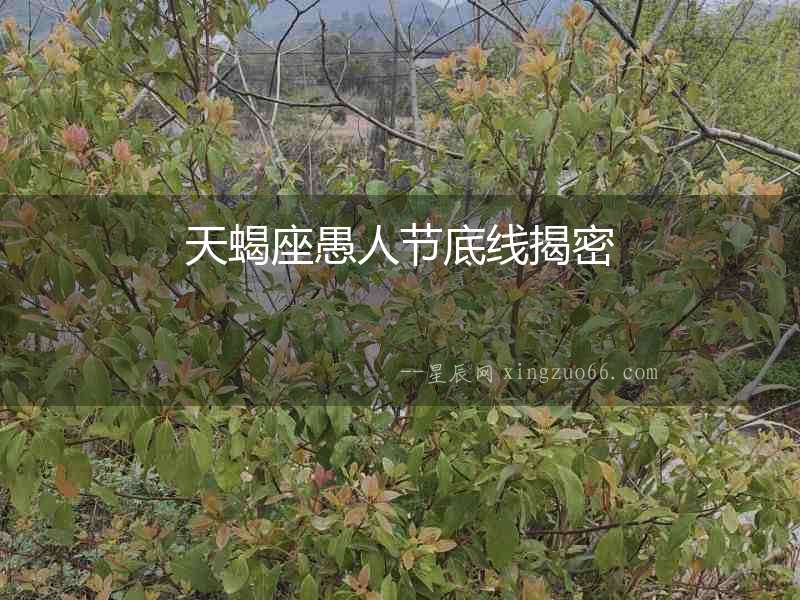天蝎座愚人節底線揭密