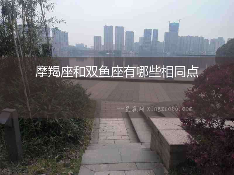 摩羯座和雙魚座有哪些相同點