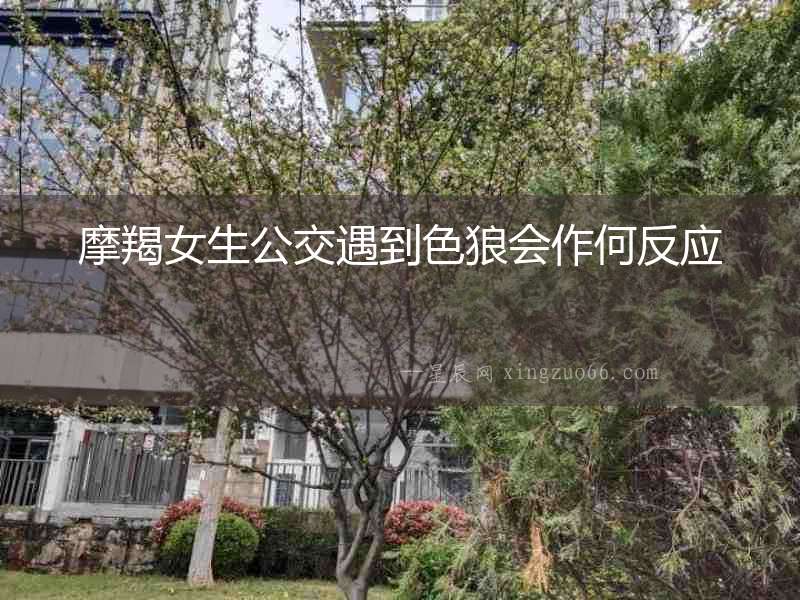摩羯女生公交遇到色狼會(huì)作何反應(yīng)