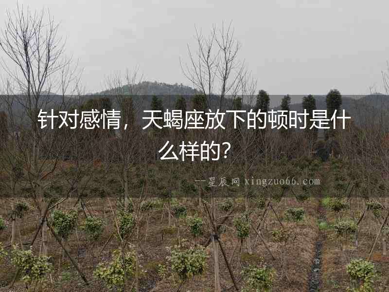 針對(duì)感情，天蝎座放下的頓時(shí)是什么樣的？