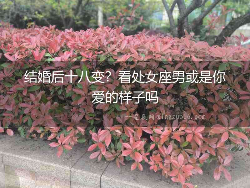 結(jié)婚后十八變？看處女座男或是你愛的樣子嗎
