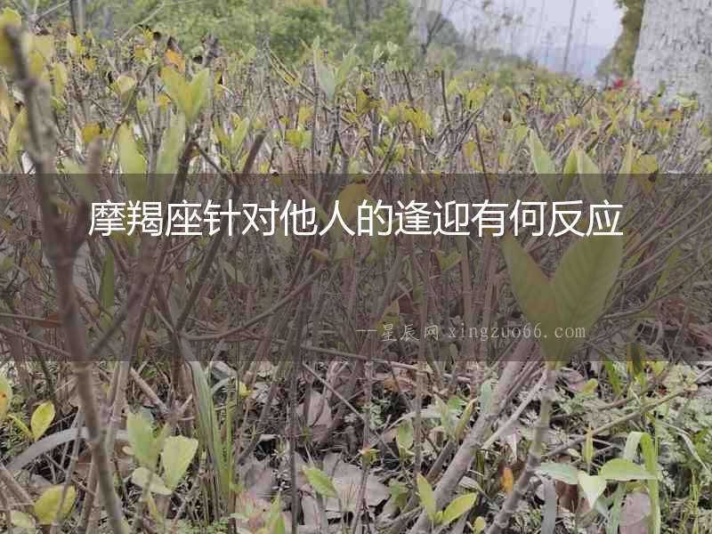 摩羯座針對(duì)他人的逢迎有何反應(yīng)