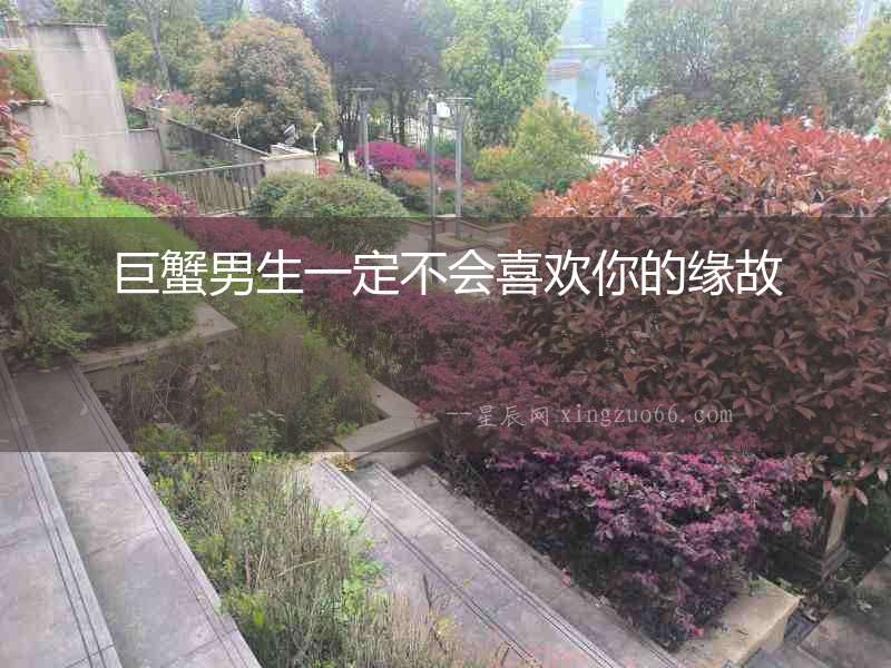 巨蟹男生一定不會(huì)喜歡你的緣故