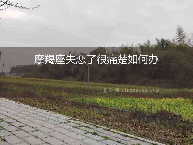 摩羯座失戀了很痛楚如何辦