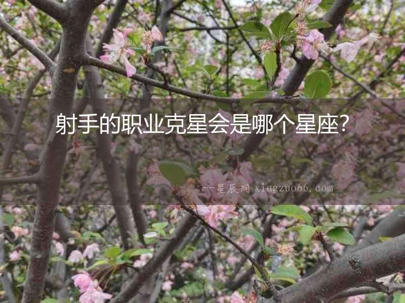 射手的職業克星會是哪個星座？