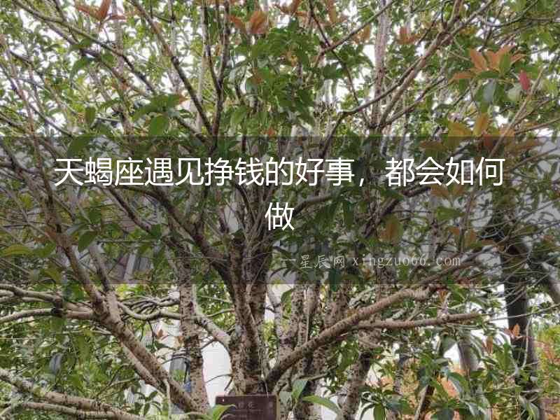 天蝎座遇見(jiàn)掙錢的好事，都會(huì)如何做