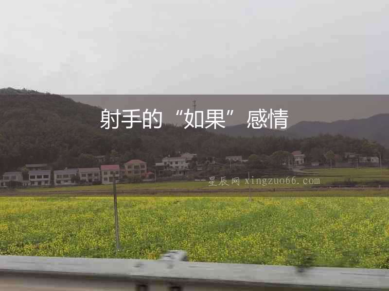 射手的“如果”感情