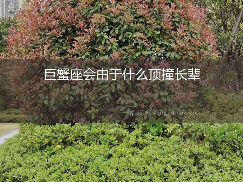 巨蟹座會由于什么頂撞長輩