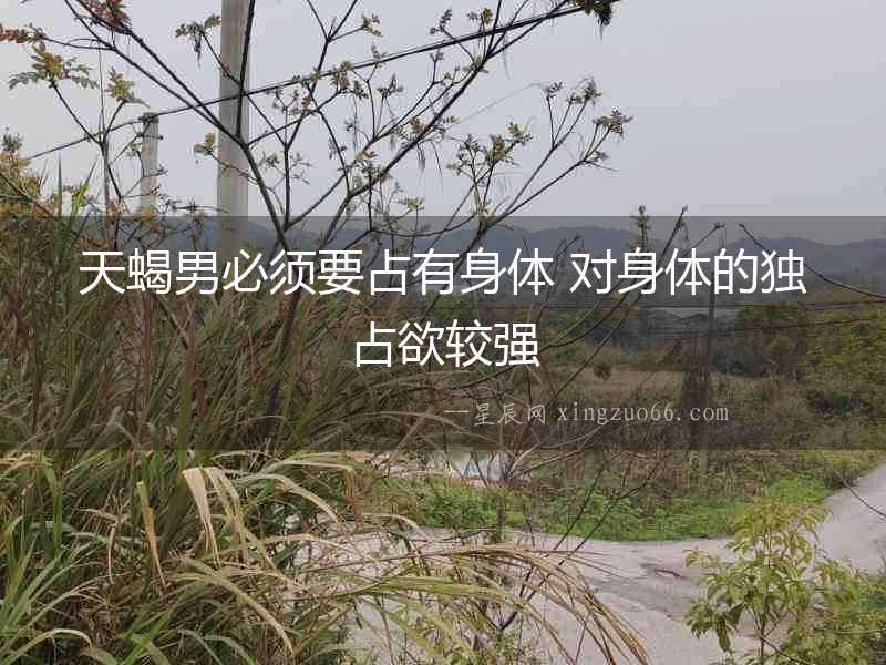 天蝎男必須要占有身體 對身體的獨占欲較強