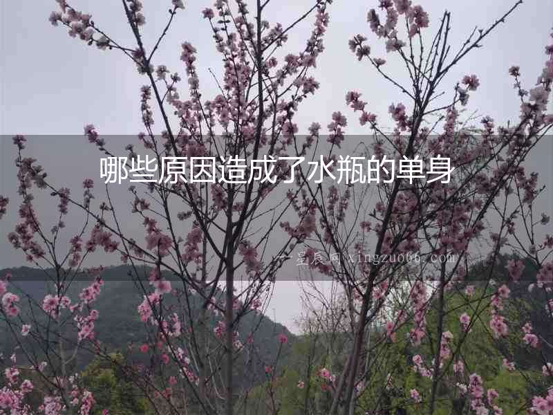哪些原因造成了水瓶的單身