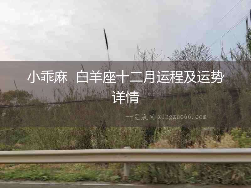 小乖麻  白羊座十二月運程及運勢詳情