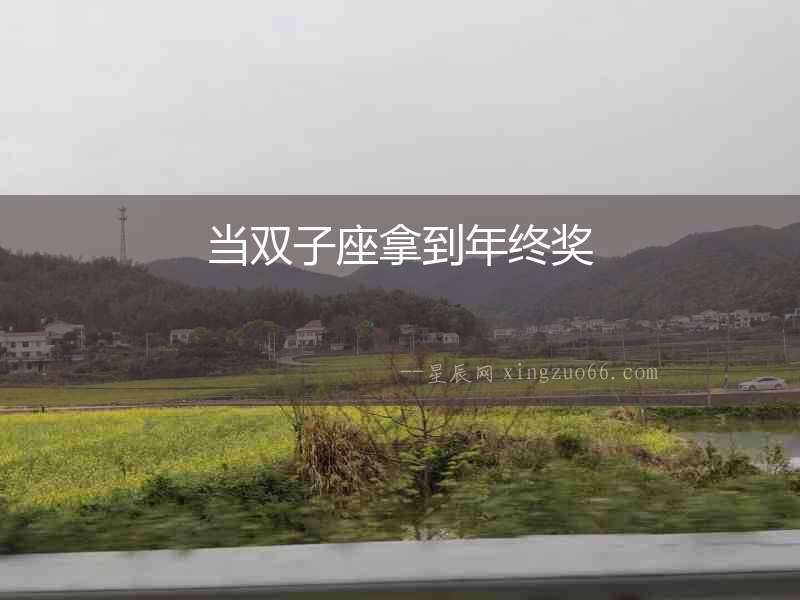 當雙子座拿到年終獎