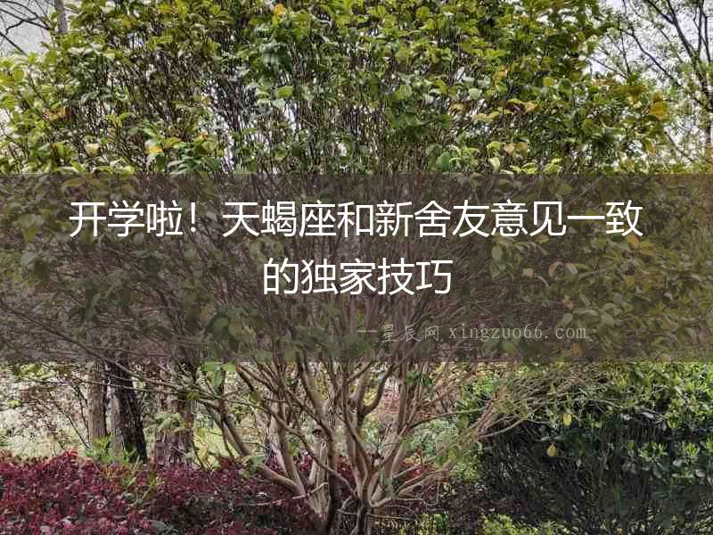 開學(xué)啦！天蝎座和新舍友意見一致的獨(dú)家技巧