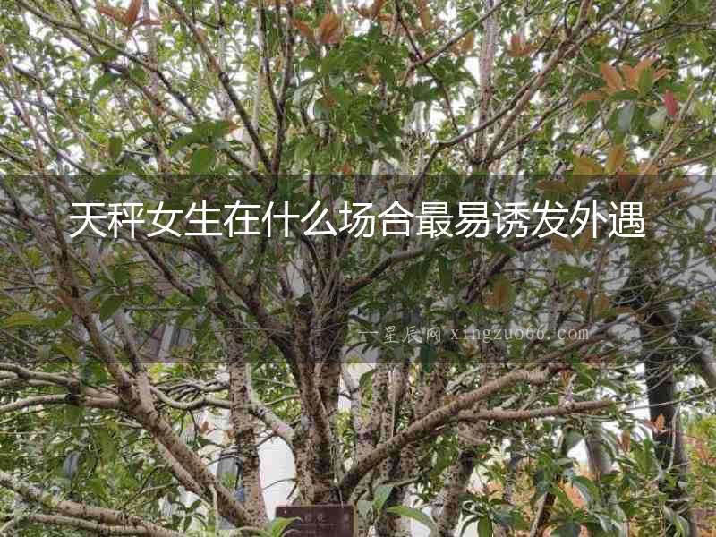 天秤女生在什么場合最易誘發外遇