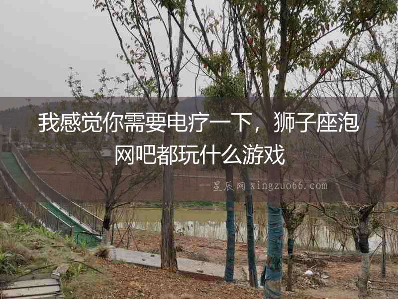 我感覺你需要電療一下，獅子座泡網吧都玩什么游戲
