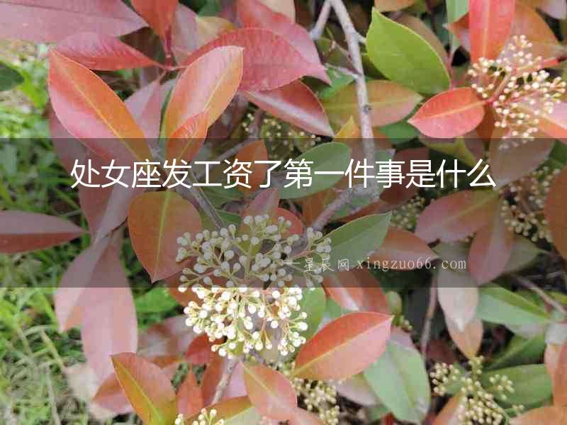 處女座發工資了第一件事是什么