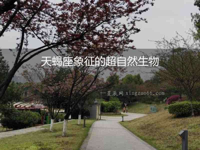 天蝎座象征的超自然生物