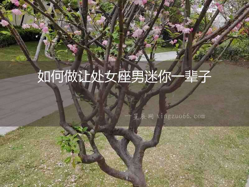 如何做讓處女座男迷你一輩子