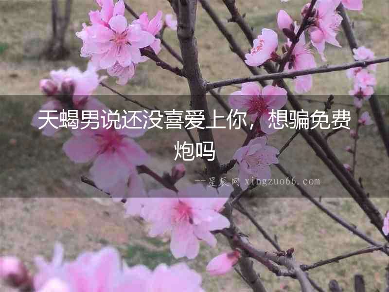 天蝎男說還沒喜愛上你，想騙免費炮嗎