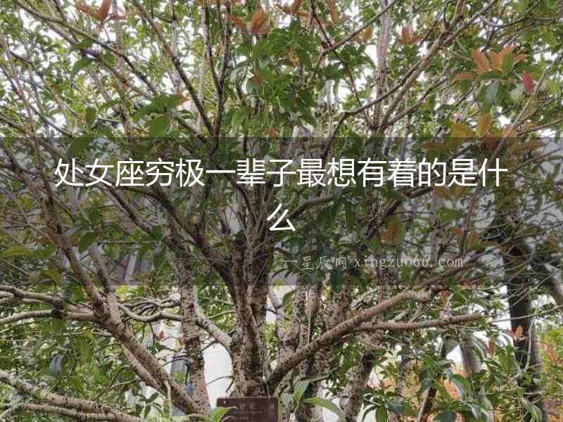 處女座窮極一輩子最想有著的是什么