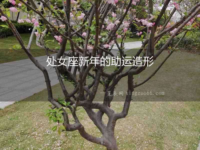 處女座新年的助運造形