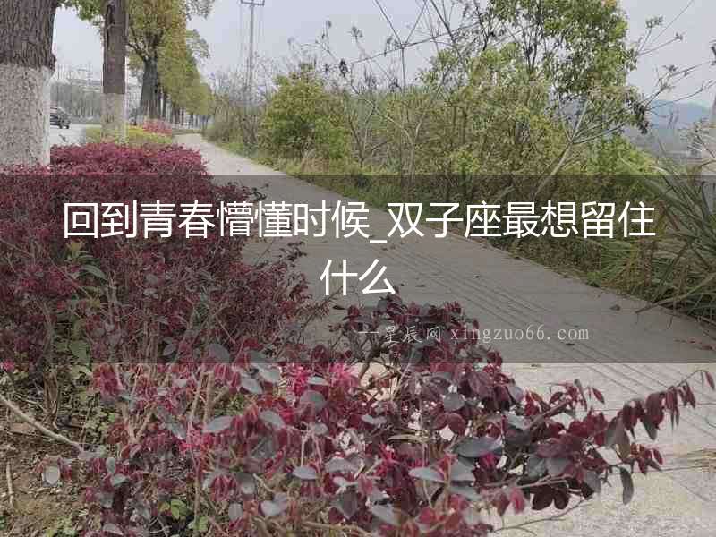回到青春懵懂時候_雙子座最想留住什么