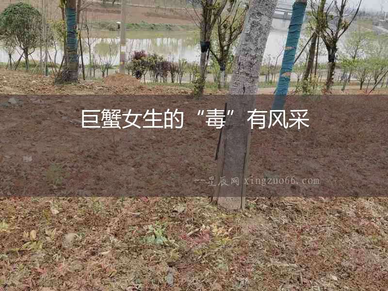 巨蟹女生的“毒”有風(fēng)采