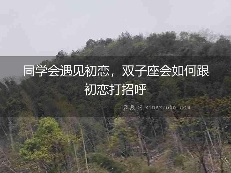 同學會遇見初戀，雙子座會如何跟初戀打招呼