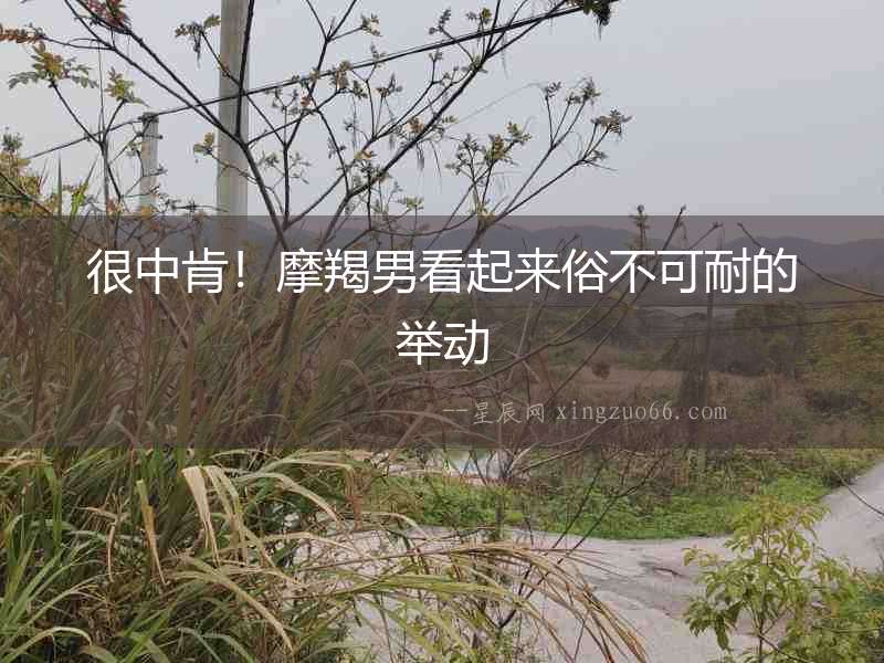 很中肯！摩羯男看起來俗不可耐的舉動